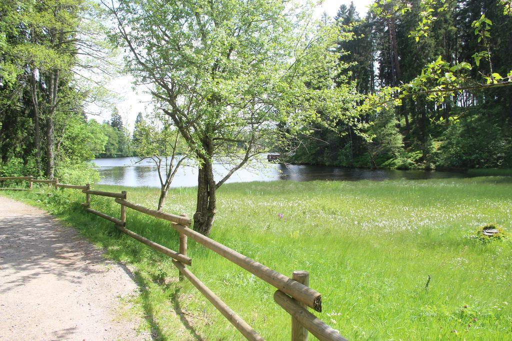Haus Hilda Fechtig Ühlingen-Birkendorf Exterior foto
